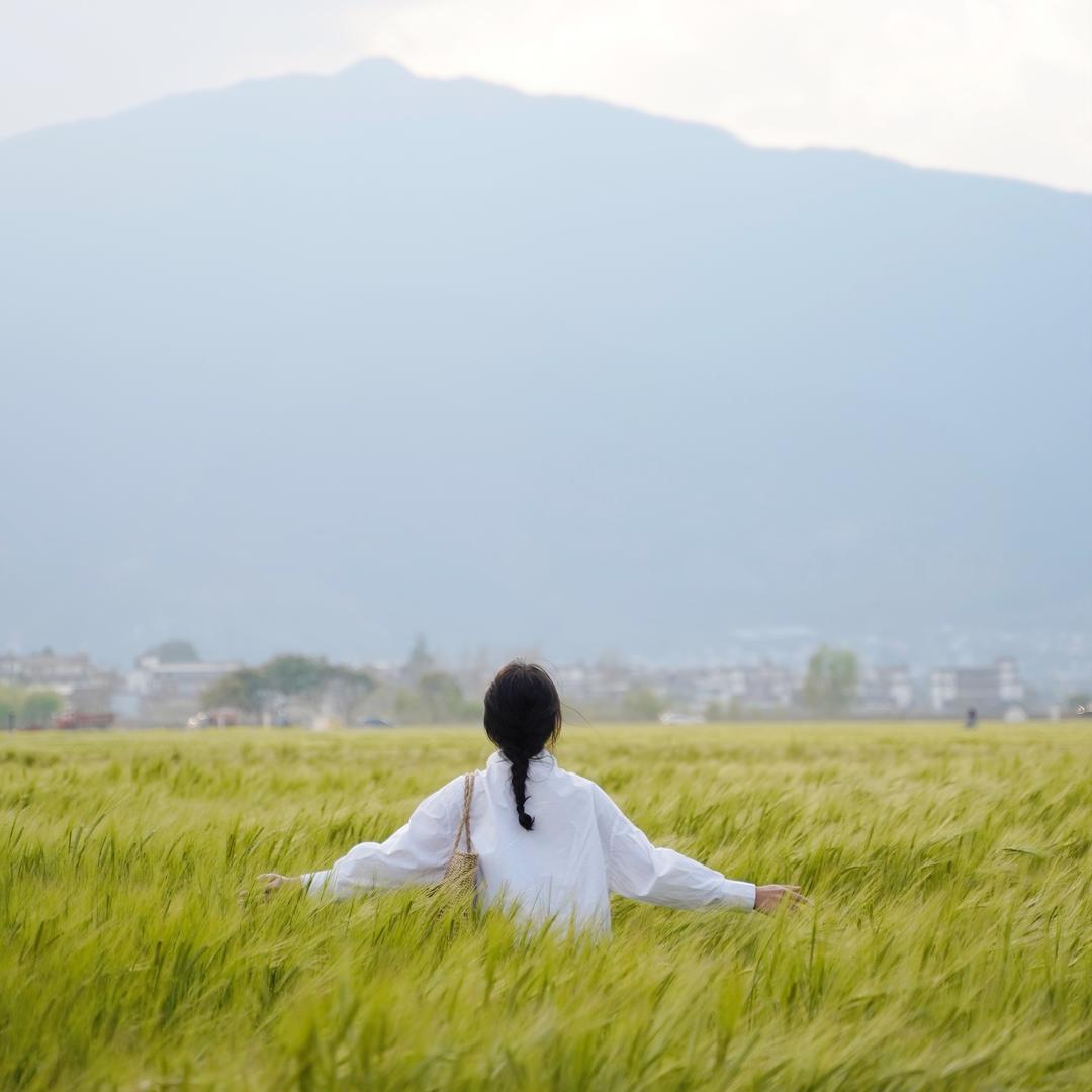 冉冉升起的冉