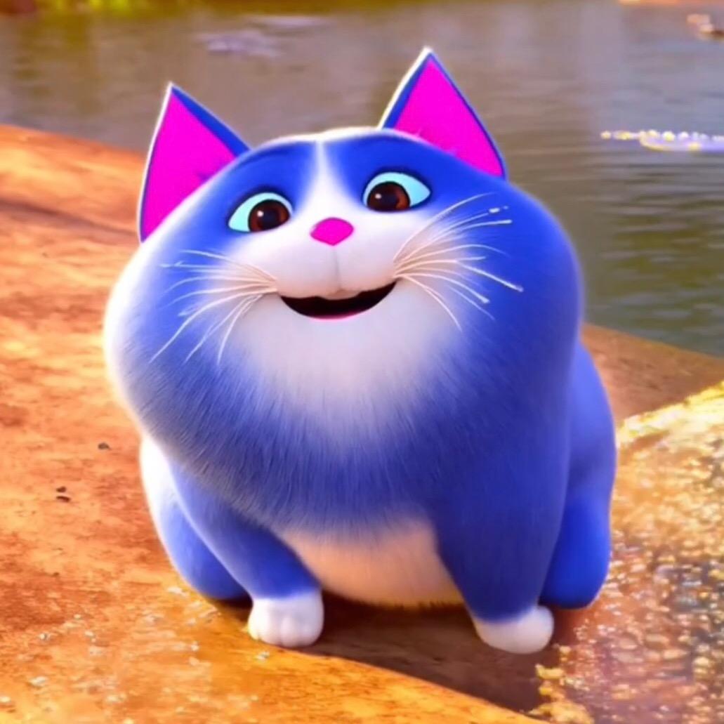 半月猫