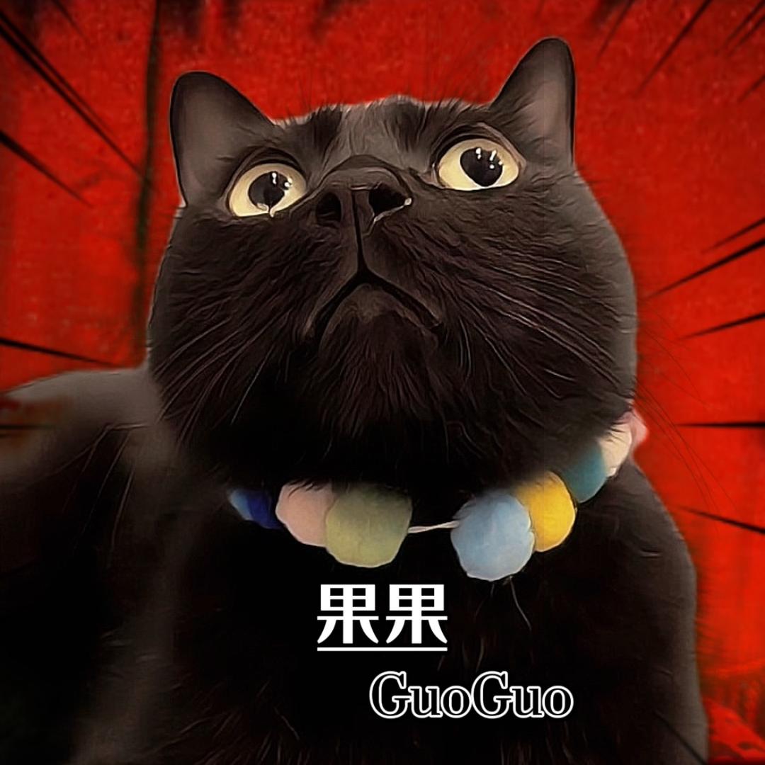 黑喵果子哥