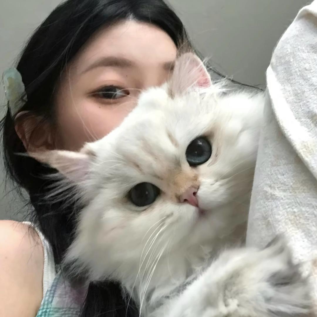 知知