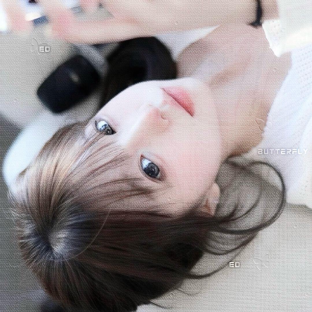 朝朝🕊️