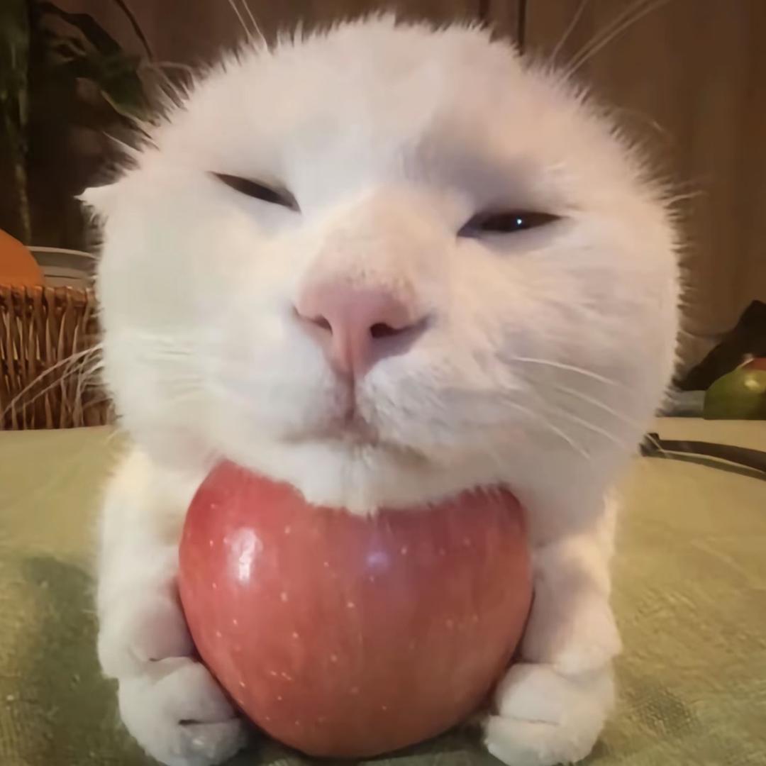 吃不饱_
