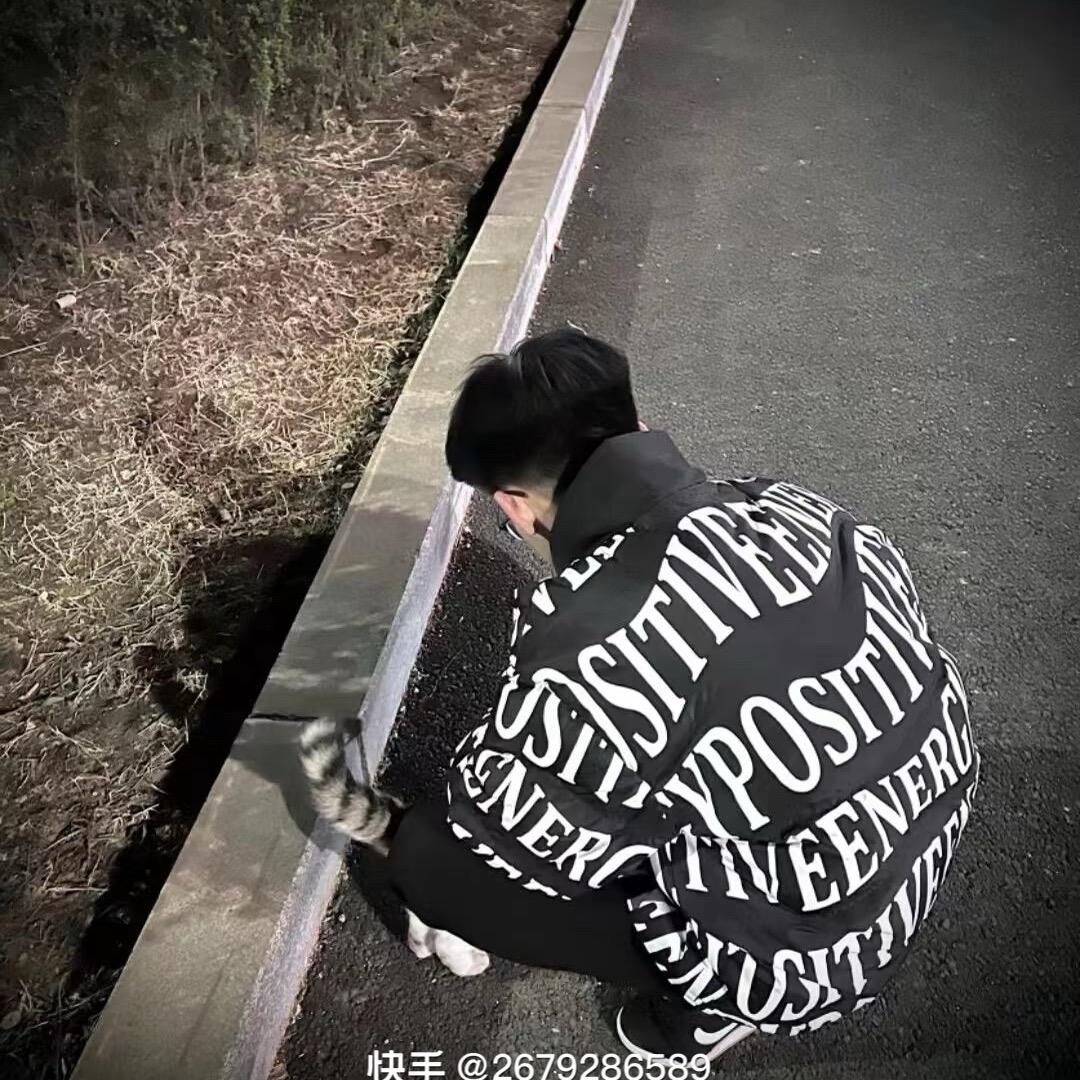 Z-B爱