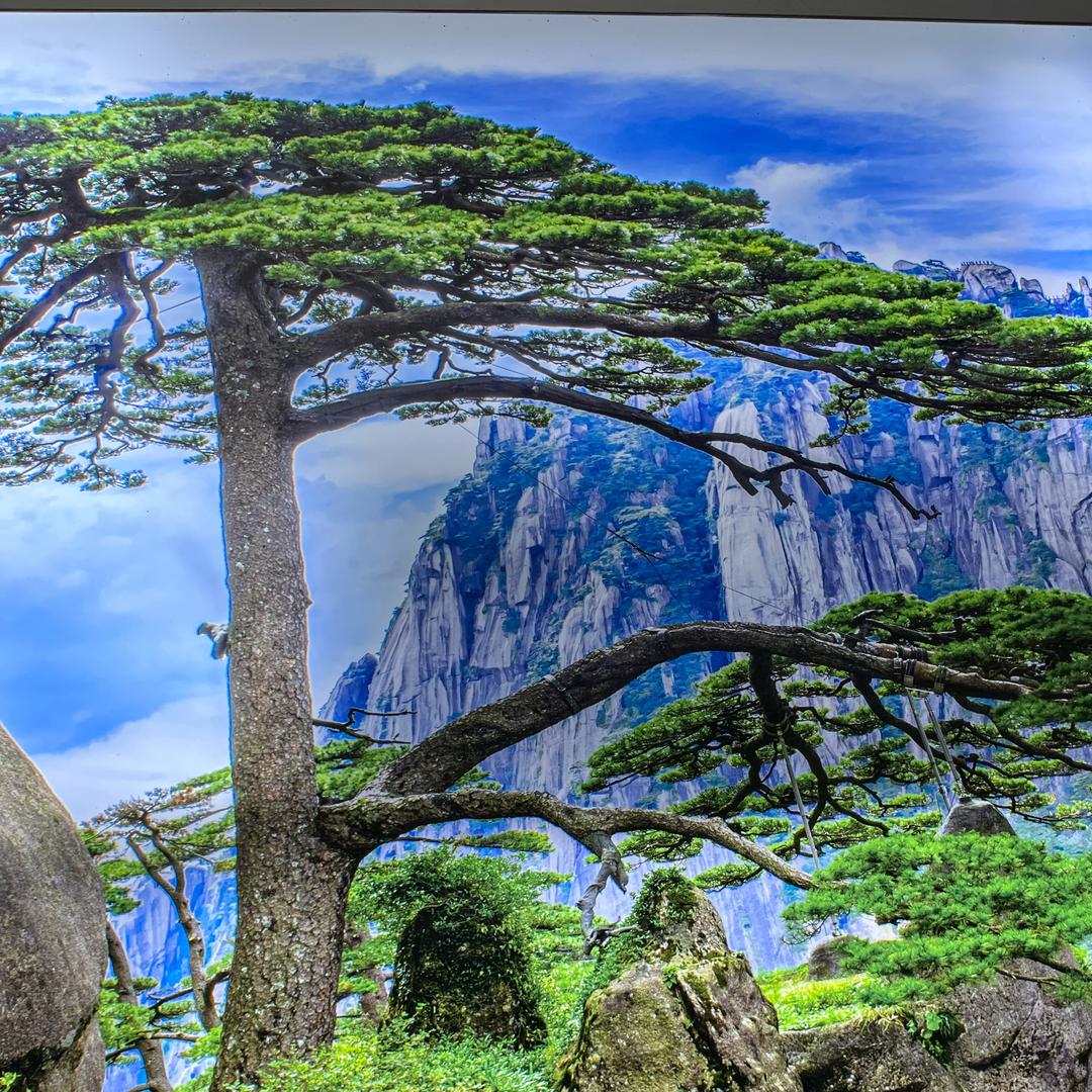高⛰️山⛰️刘💦水