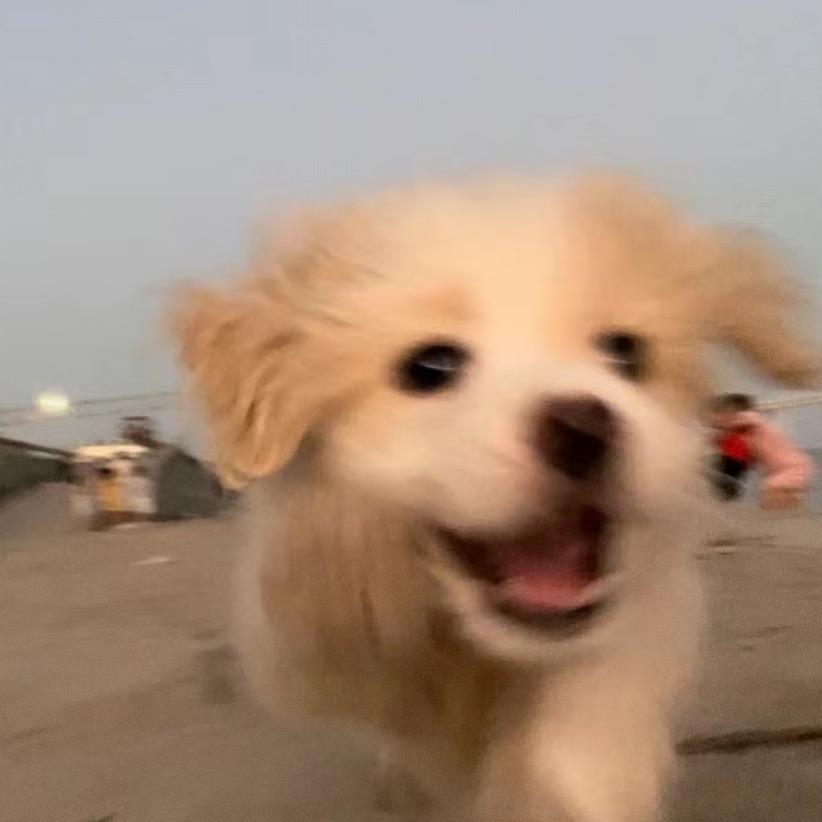 禾禾禾ioi