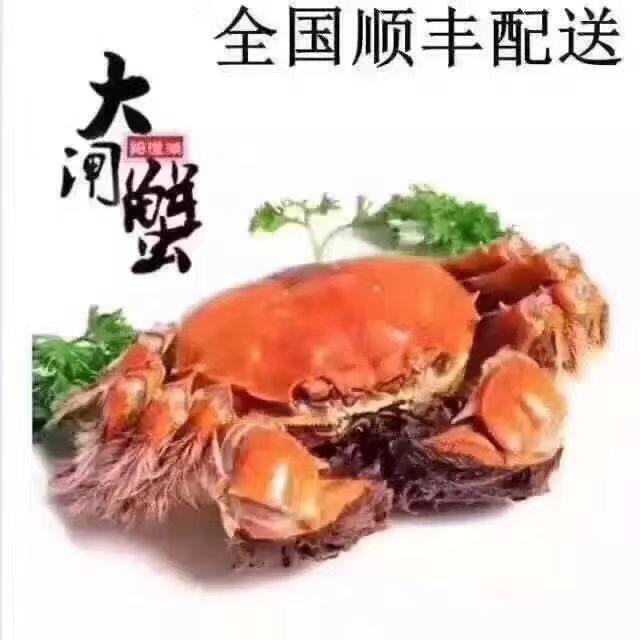 阳澄湖大闸蟹🦀🦀🦀