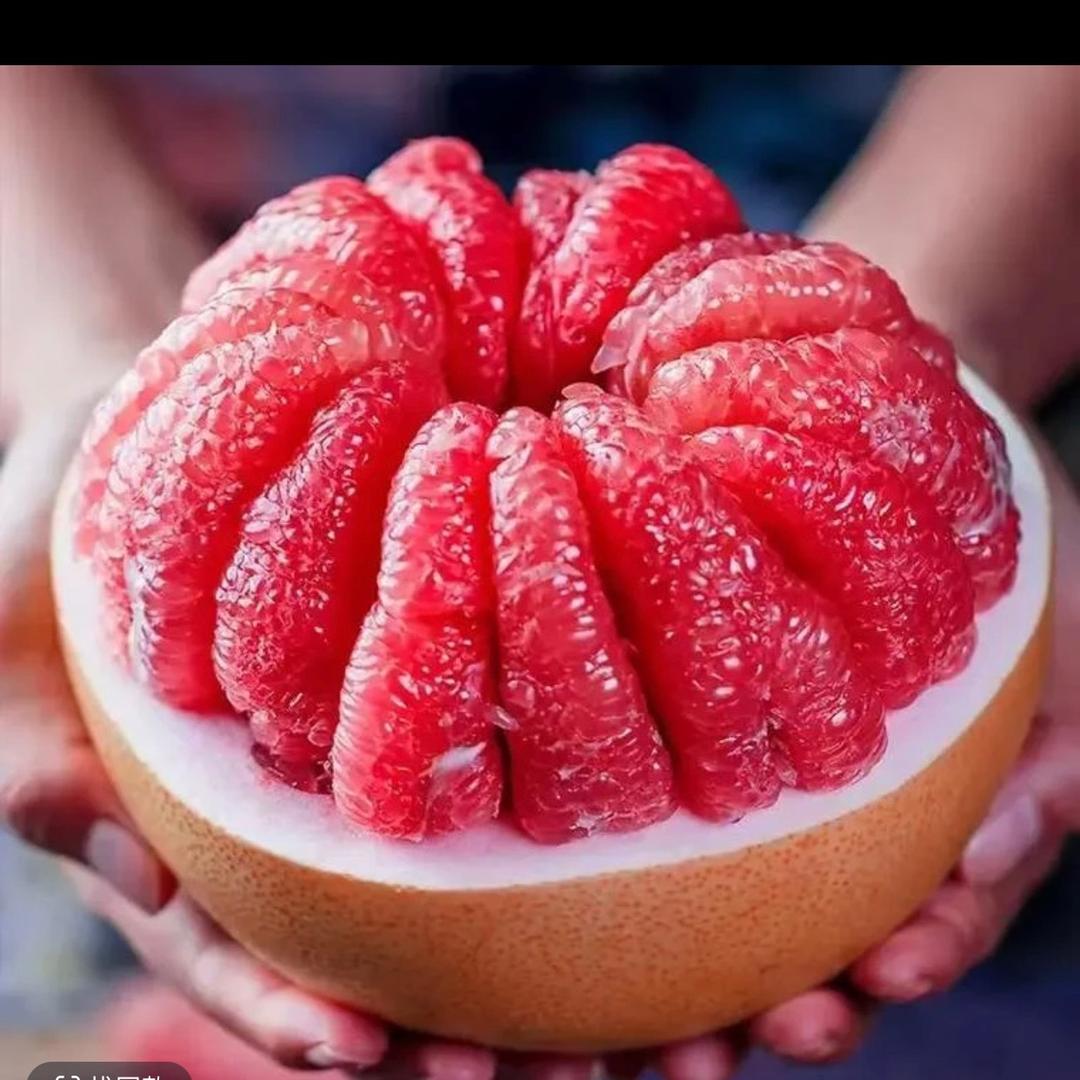 小叶带你吃