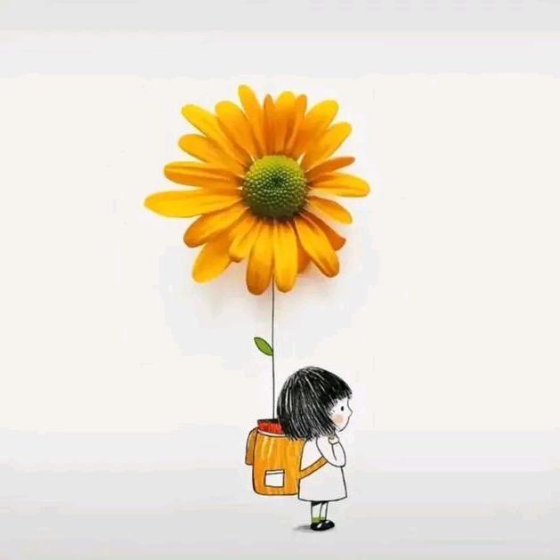 时光