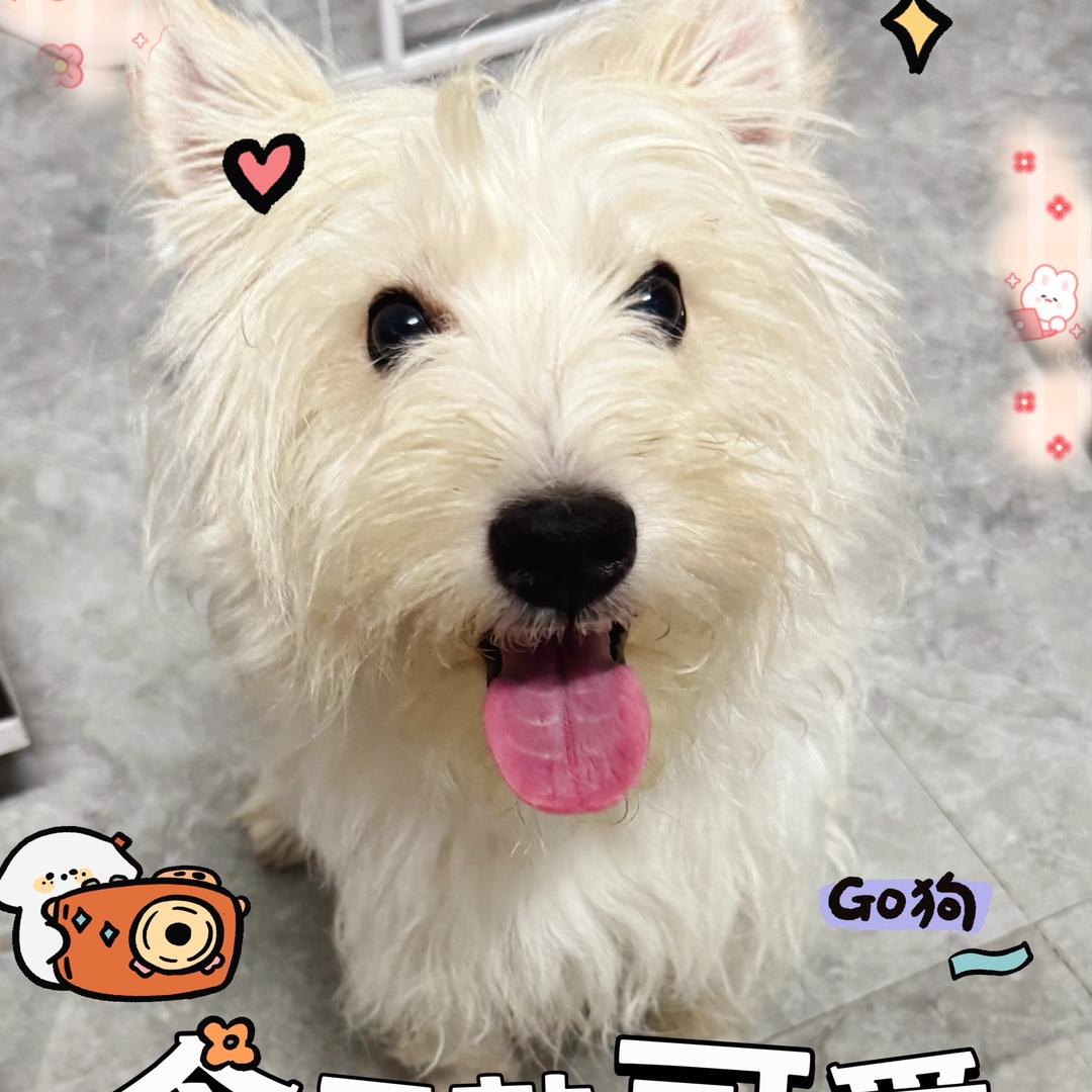 阿杰