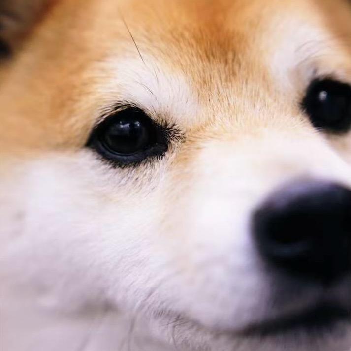 超幸福超有钱的我