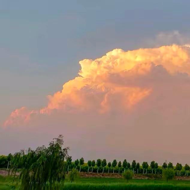 小胡胡ᴱᴸᴵᴬᵁᴷ⁹⁷