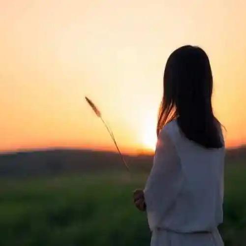 ╰☆繁华の丽☆╮