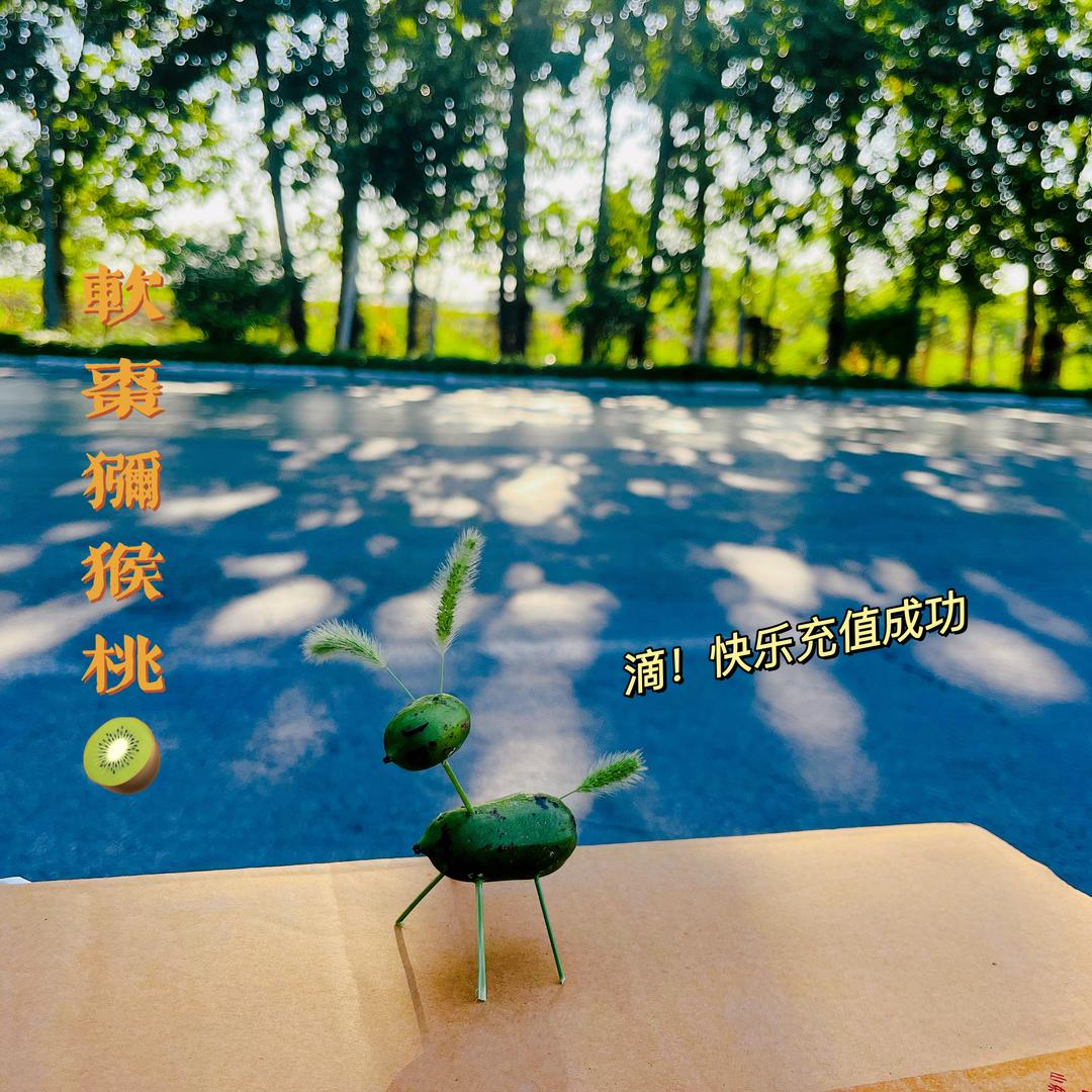 我家有蓝莓🫐蓝精灵软枣猕猴桃plus甜