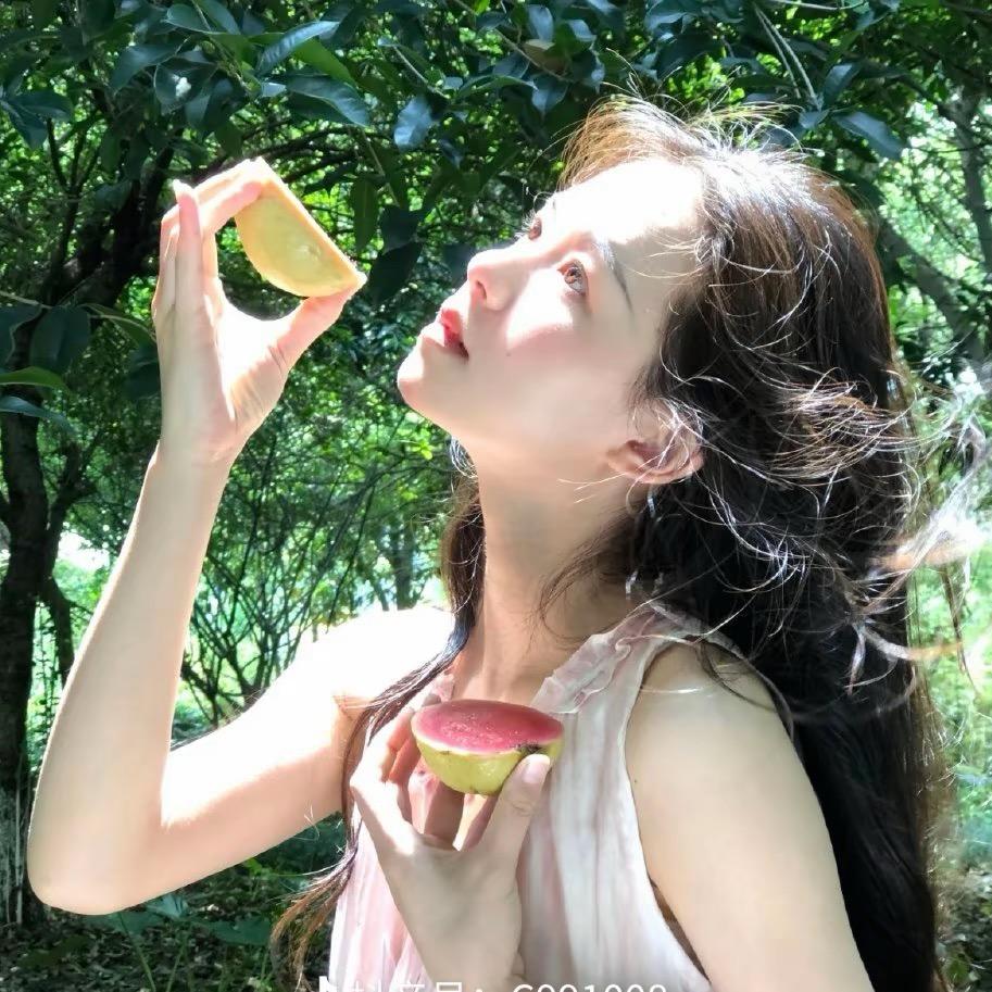 一颗小葵
