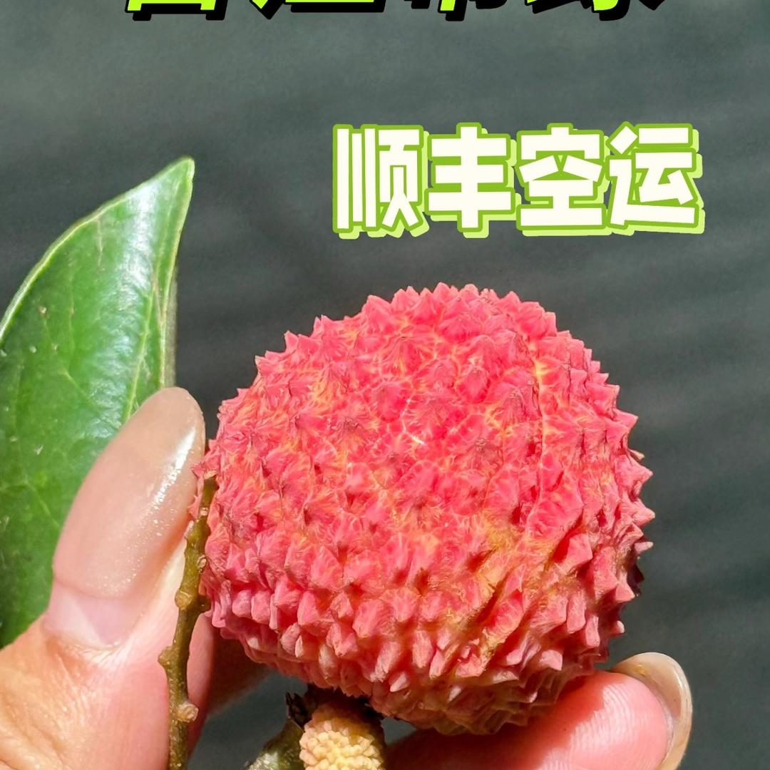 二娃水果甄选🍒（代买）