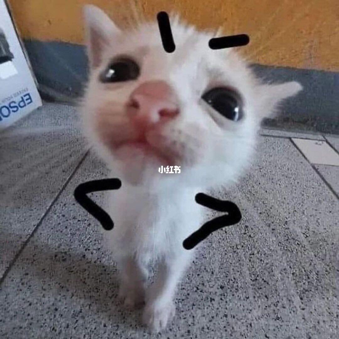 lan