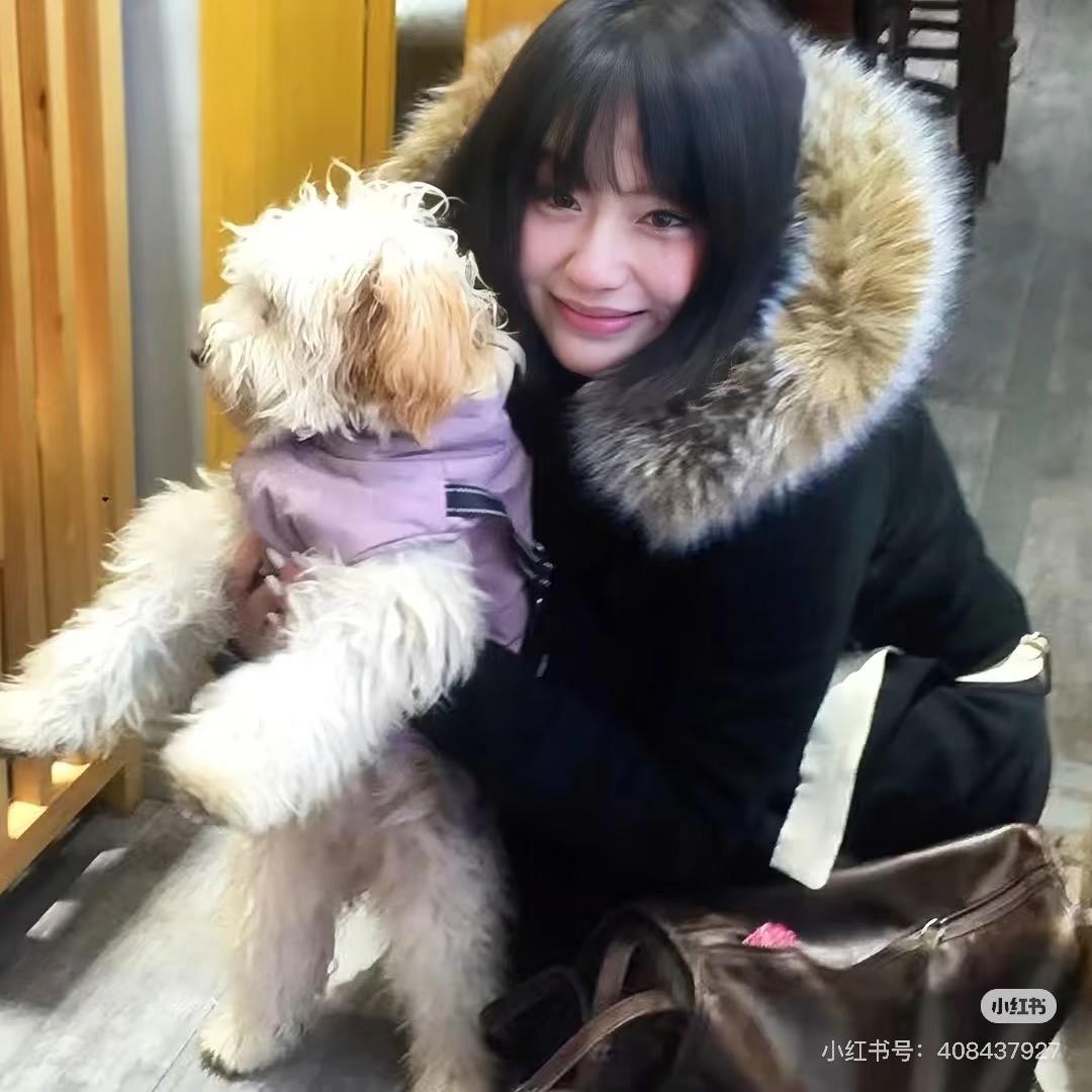 【捣蛋鬼】