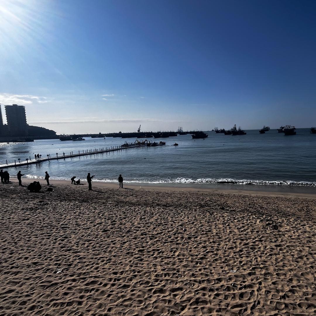 🌟 阿萌阿兮一颗葡萄树