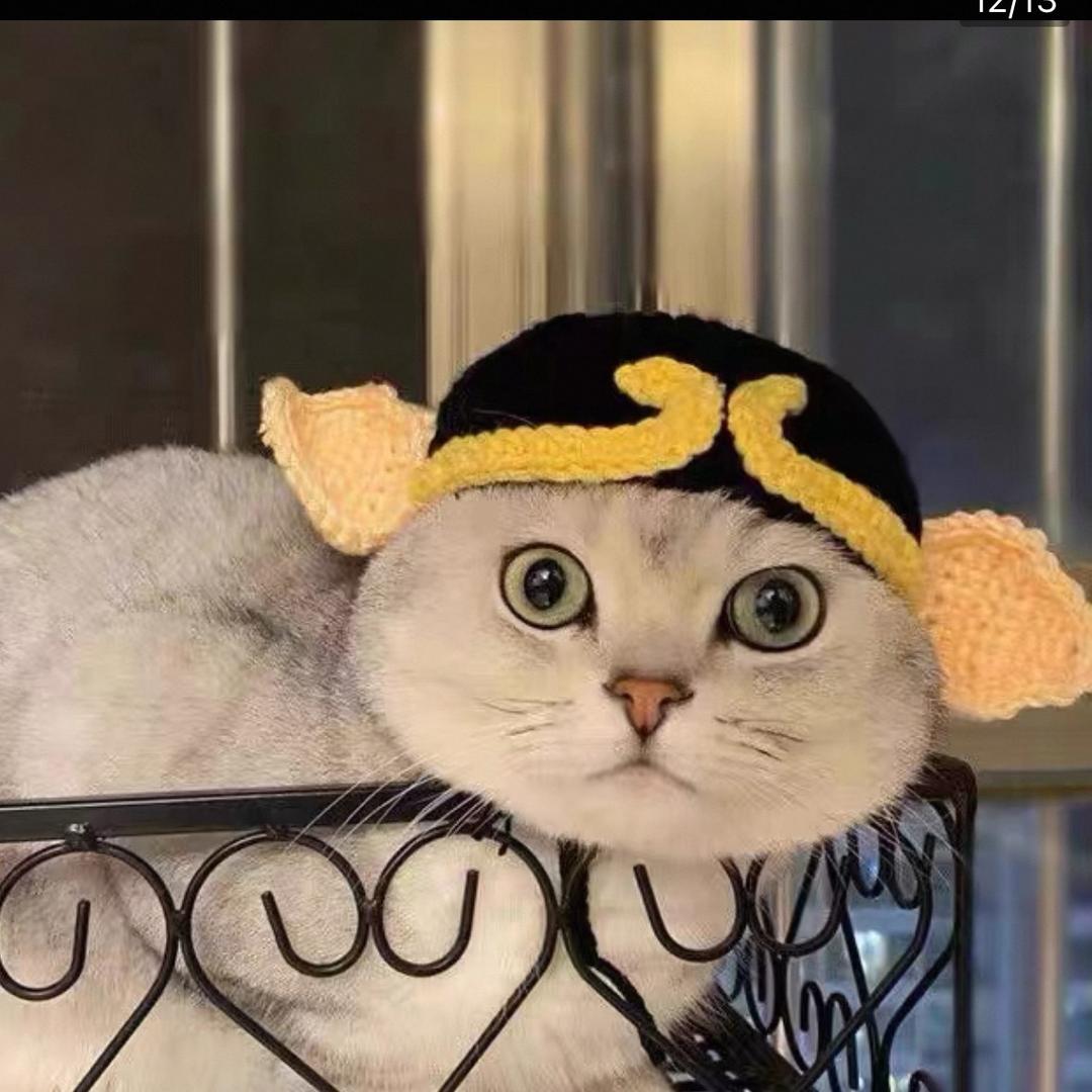 每天都要笑哈哈