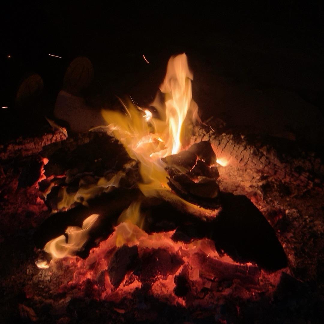 橙子🍊🍊🍊🍊🍊🍊🍊🍊