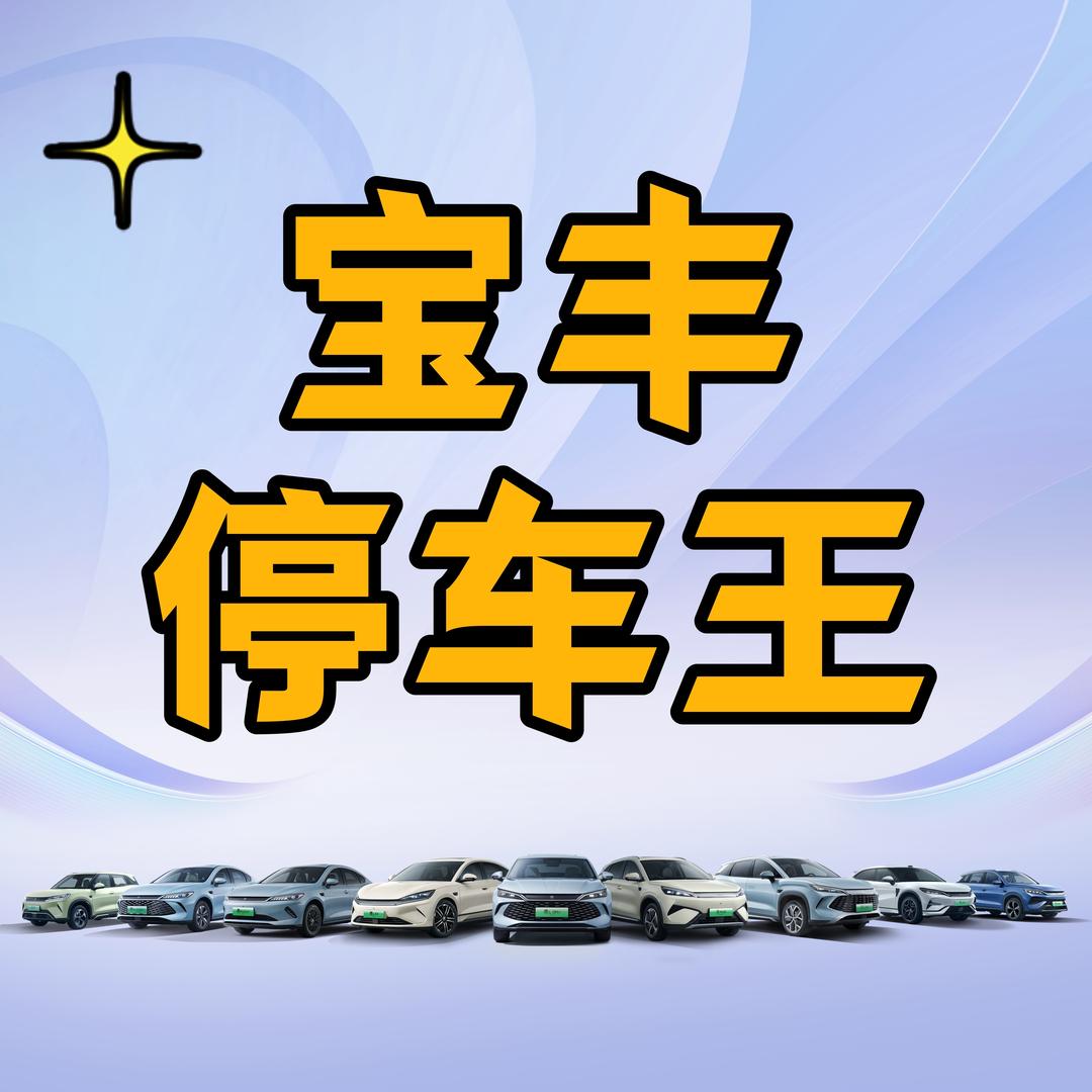 宝丰停车王丨宝丰汇迪4S店