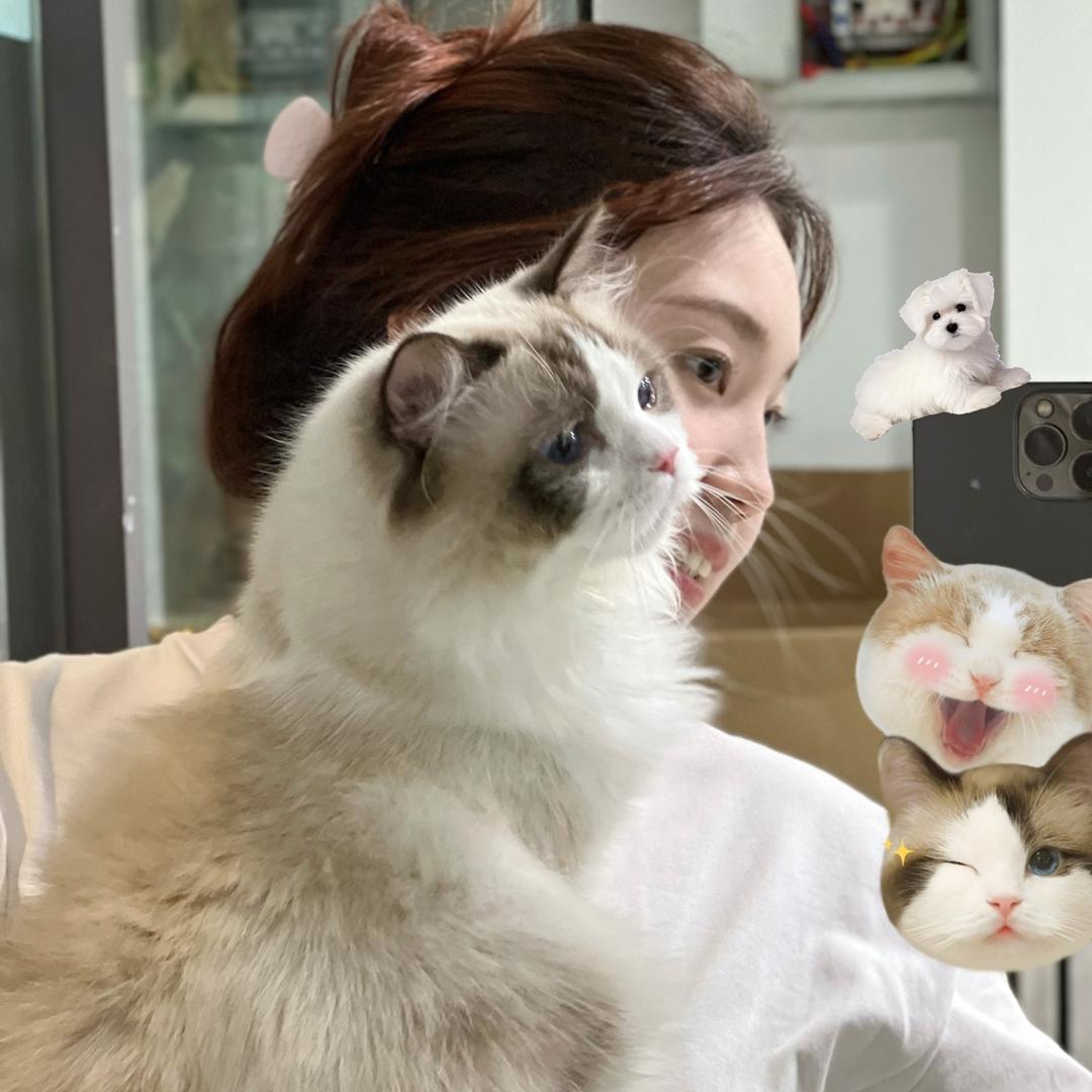 奇妙猫猫屋直播号