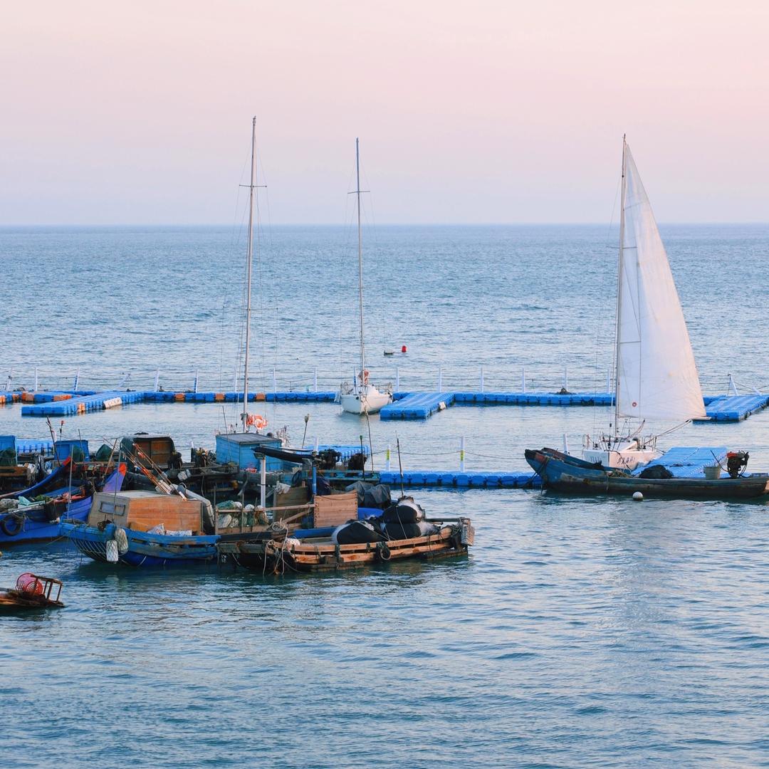 鲜里挑一海鲜干货精选鲜里挑一水产甄选