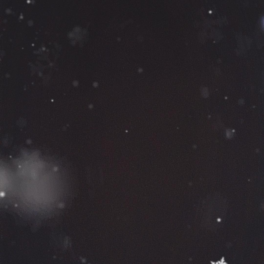 没有显示