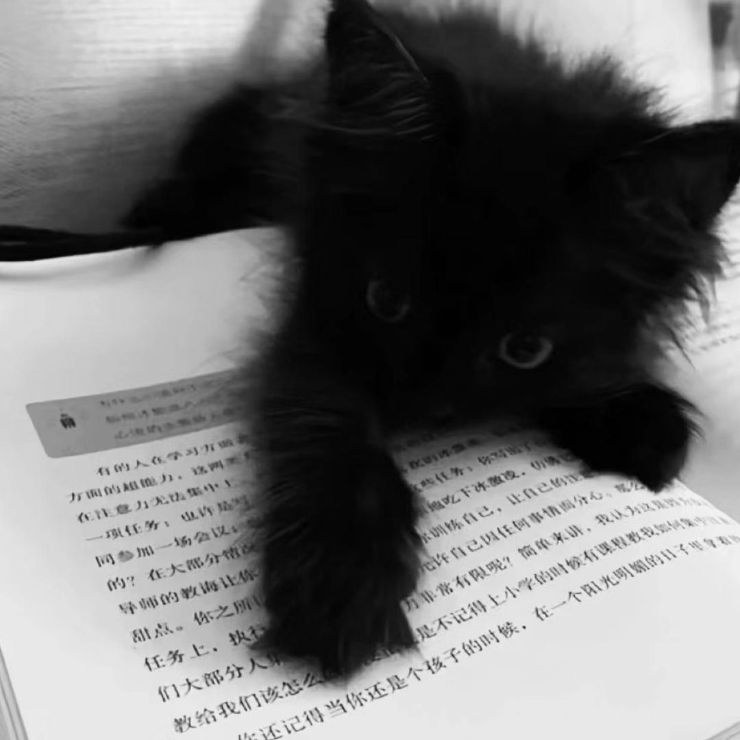 Stephanieʢᴗ.ᴗʡᶻ