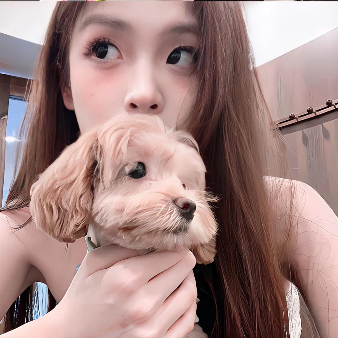 小羊·