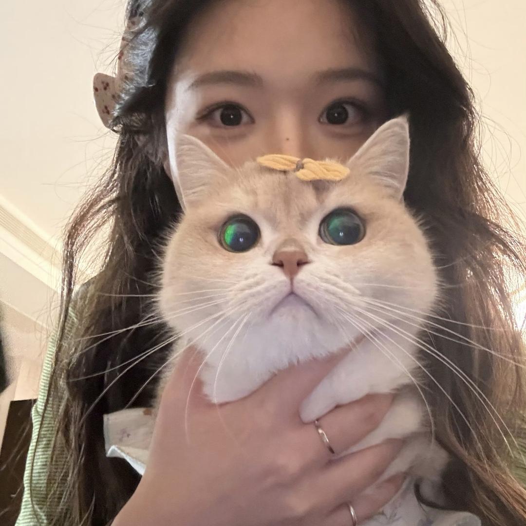 我才不是脆弱椰子