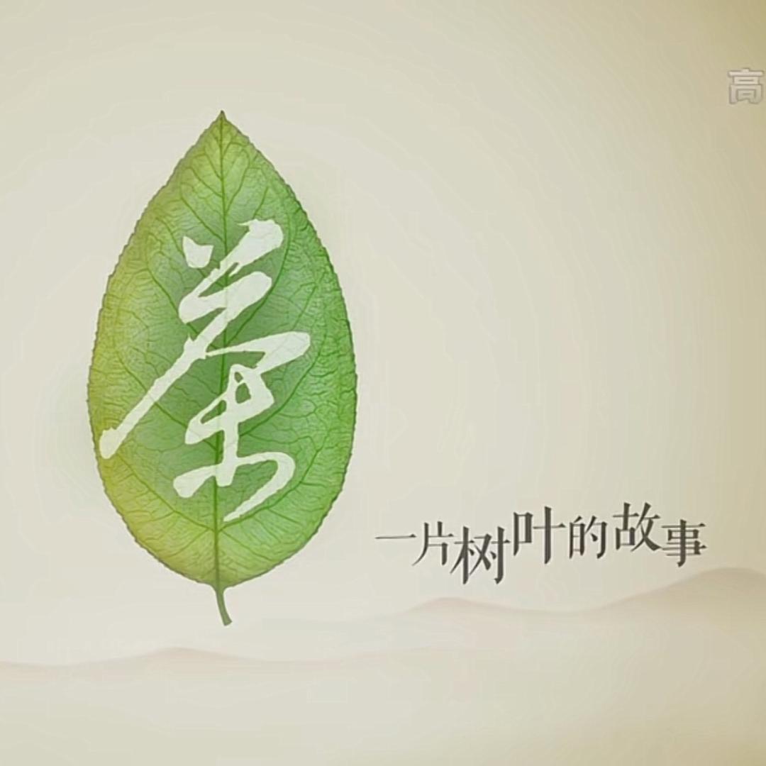 一片树叶的故事