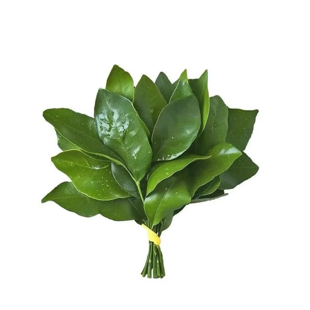 韩含晗