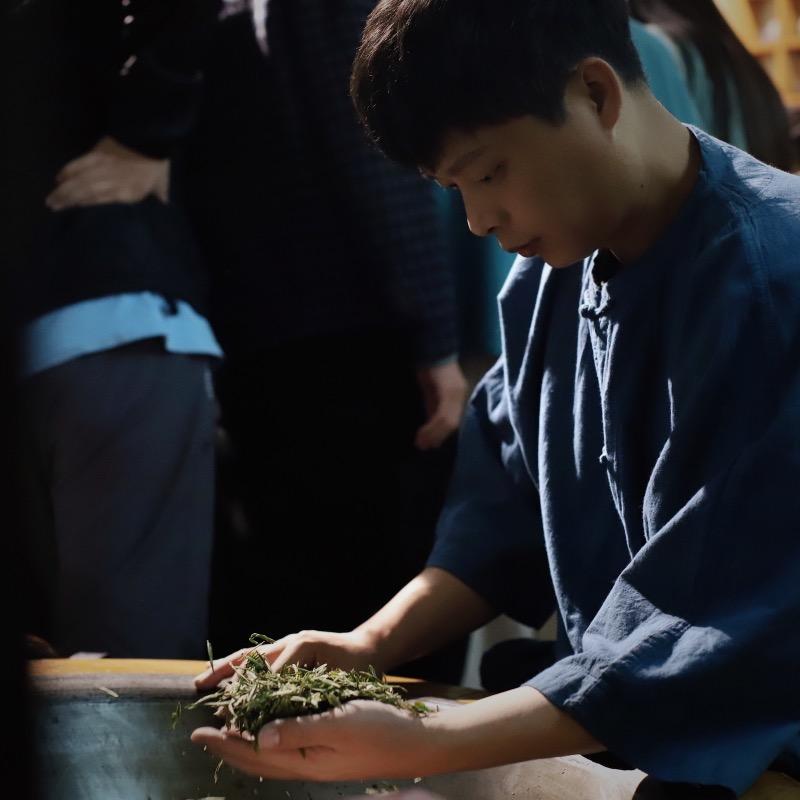 九树龙井(监工)