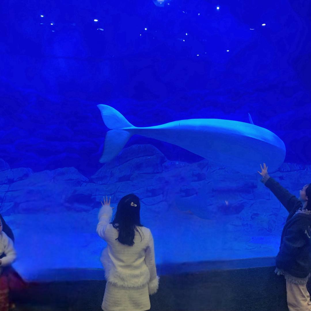 保定卖门窗的小姑娘