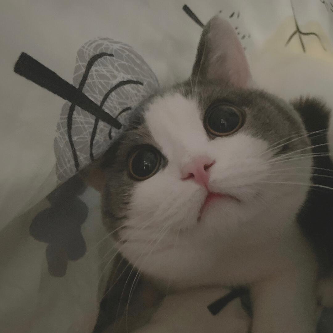 辰尘