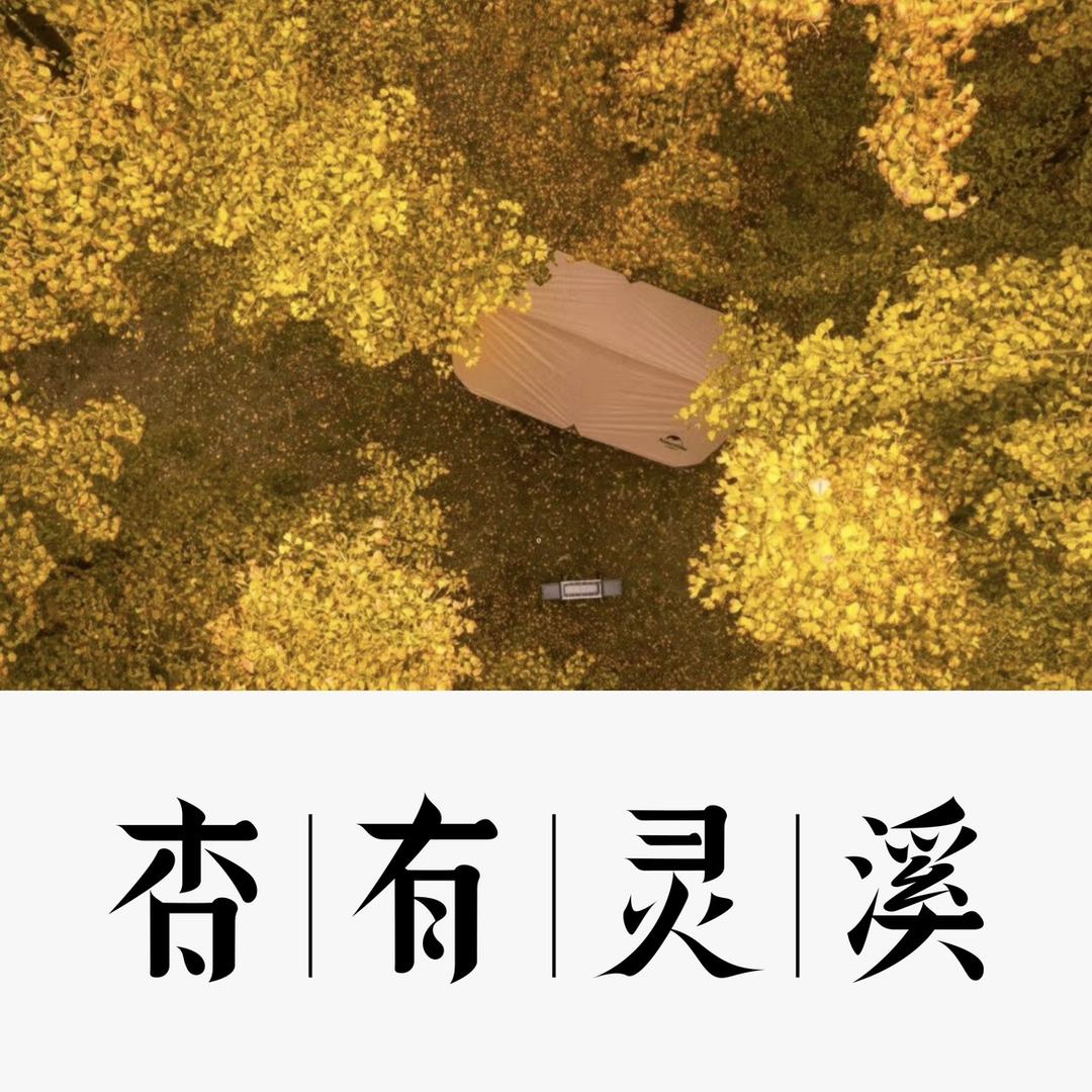 杏有灵溪