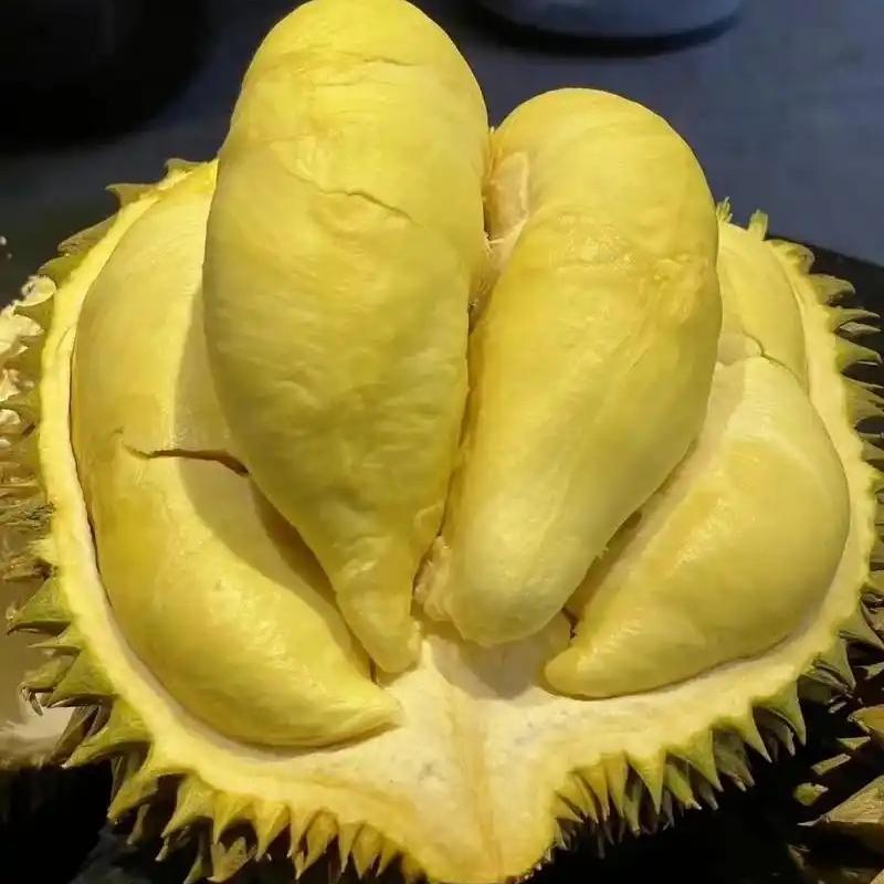 榴氓