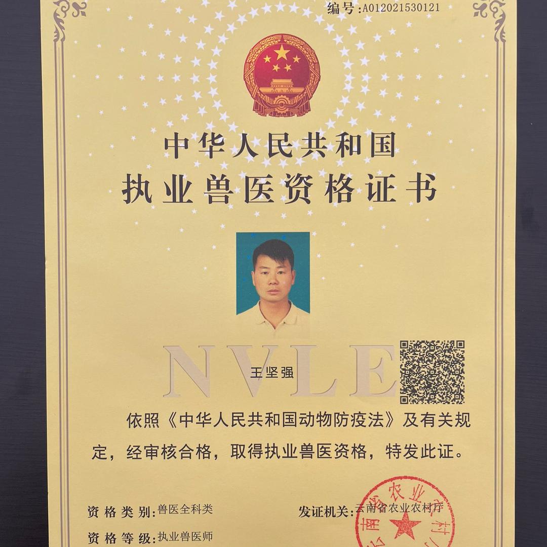 兽医小强哥