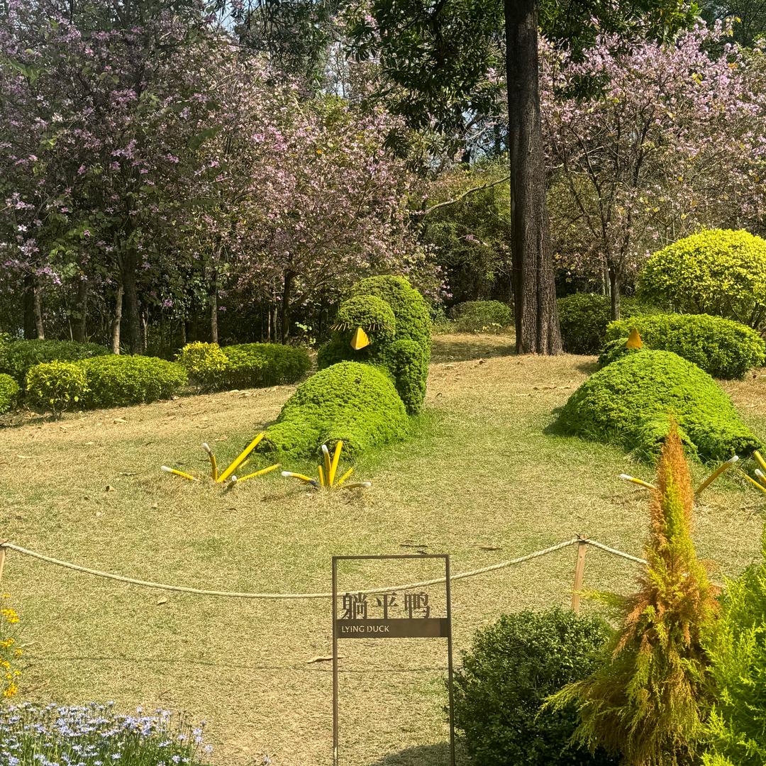 小小林