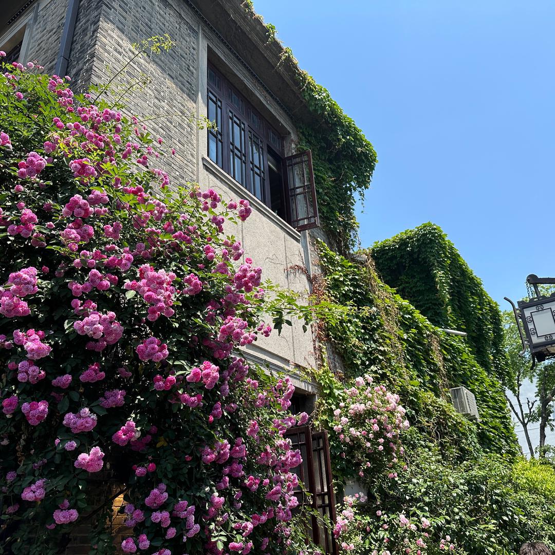 wuli波
