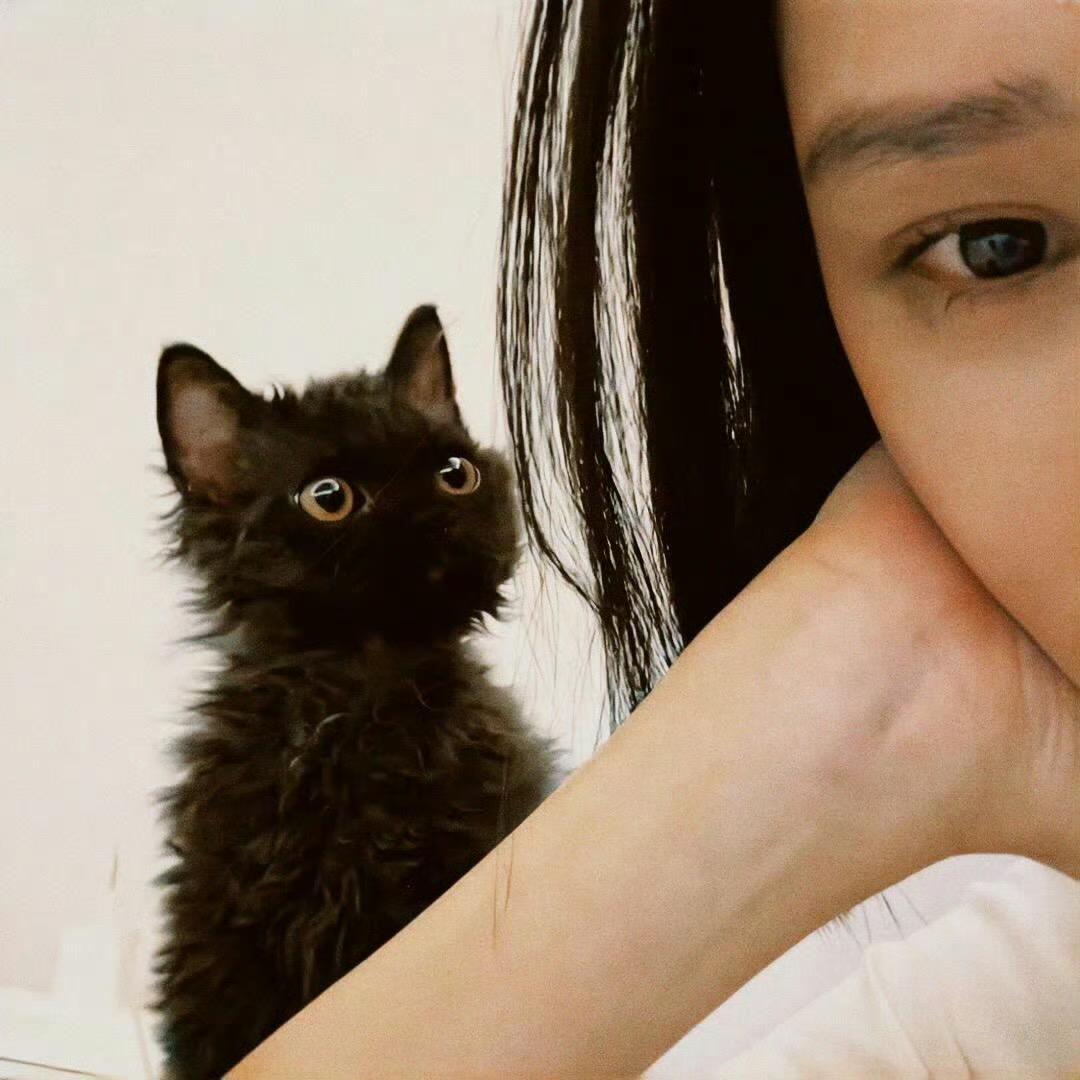 刘梦琦