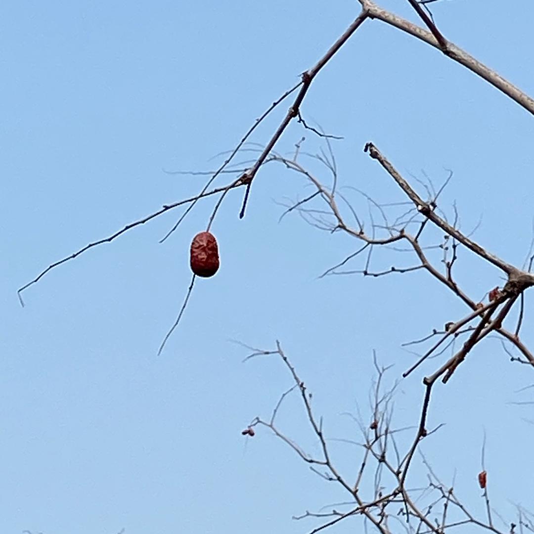 简单