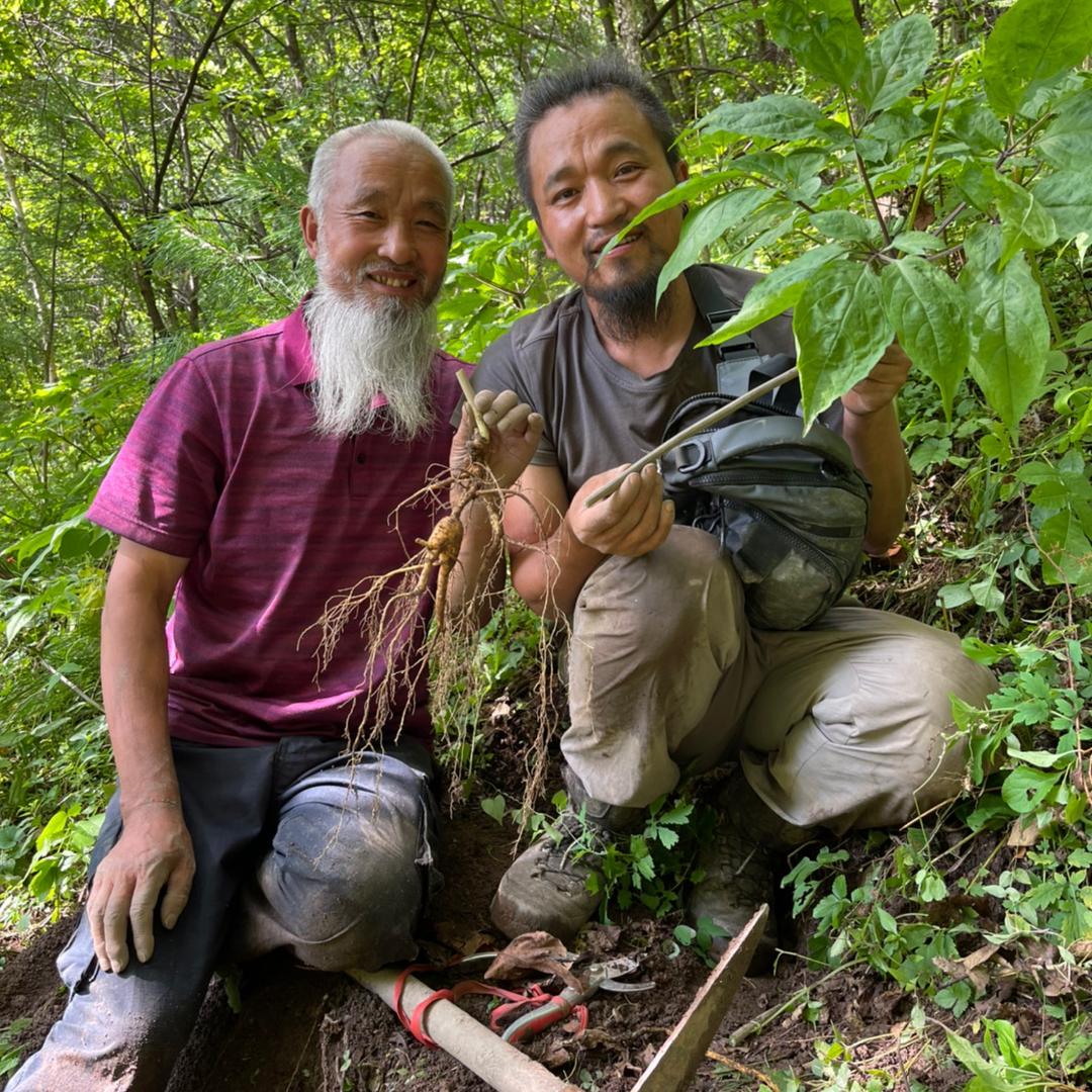 川行滋补专营店参茸特产