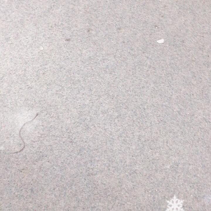 孙凯力