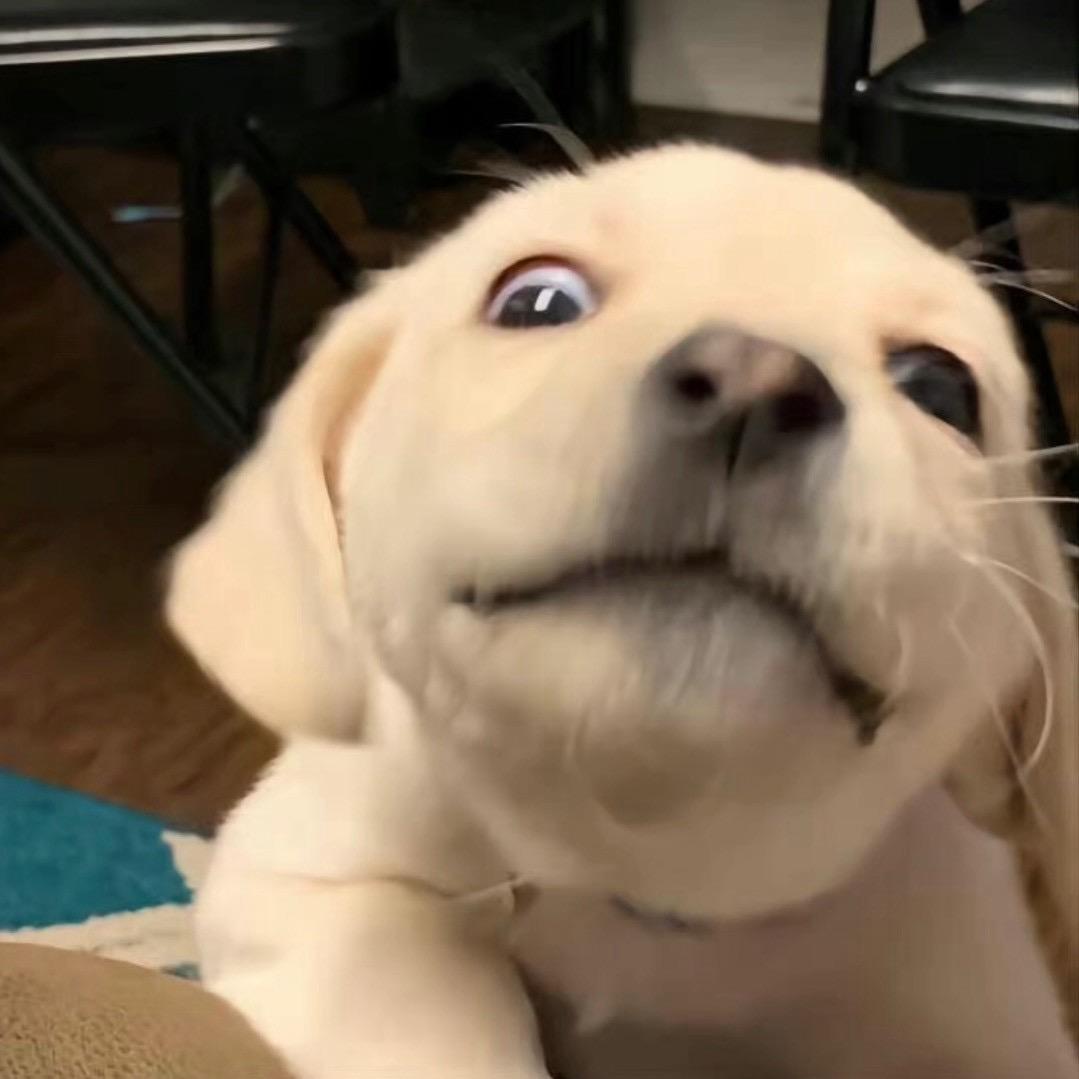 ちょうしりょう.