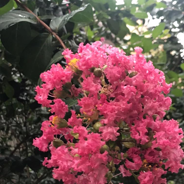 纤纤精品¹⁹⁹