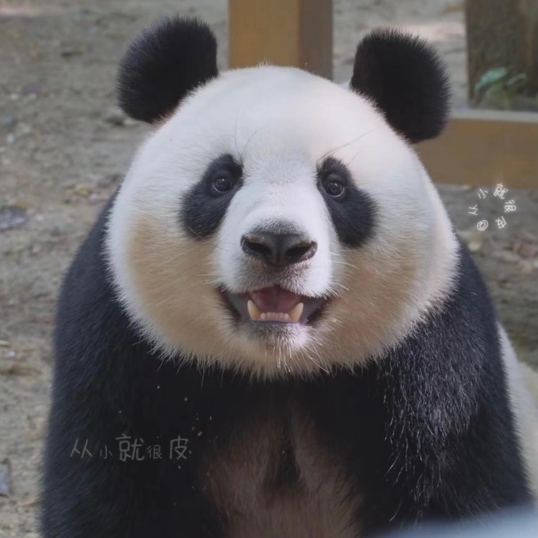 🌈☀️小确幸头像