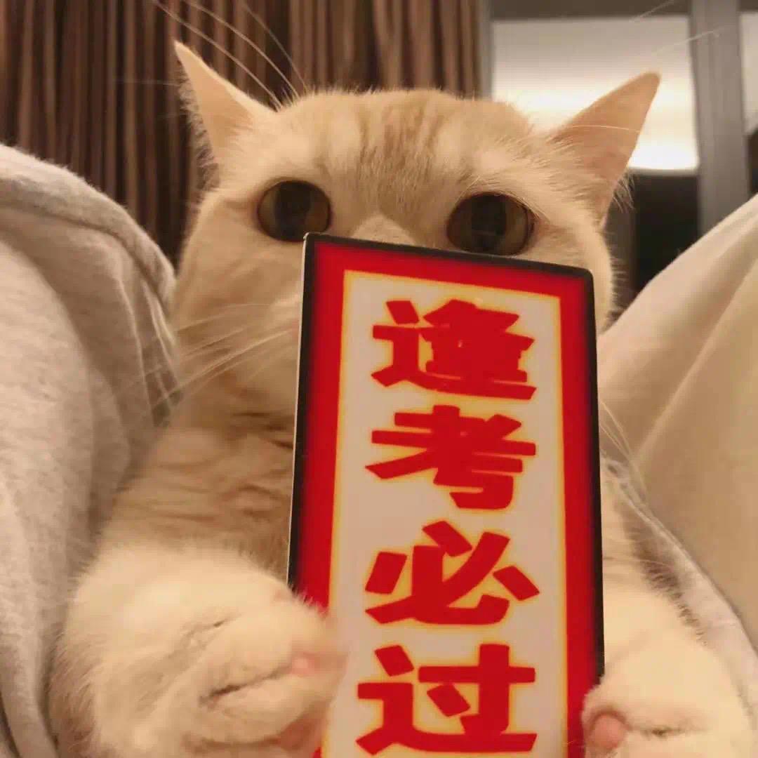 乐学优优~李老师