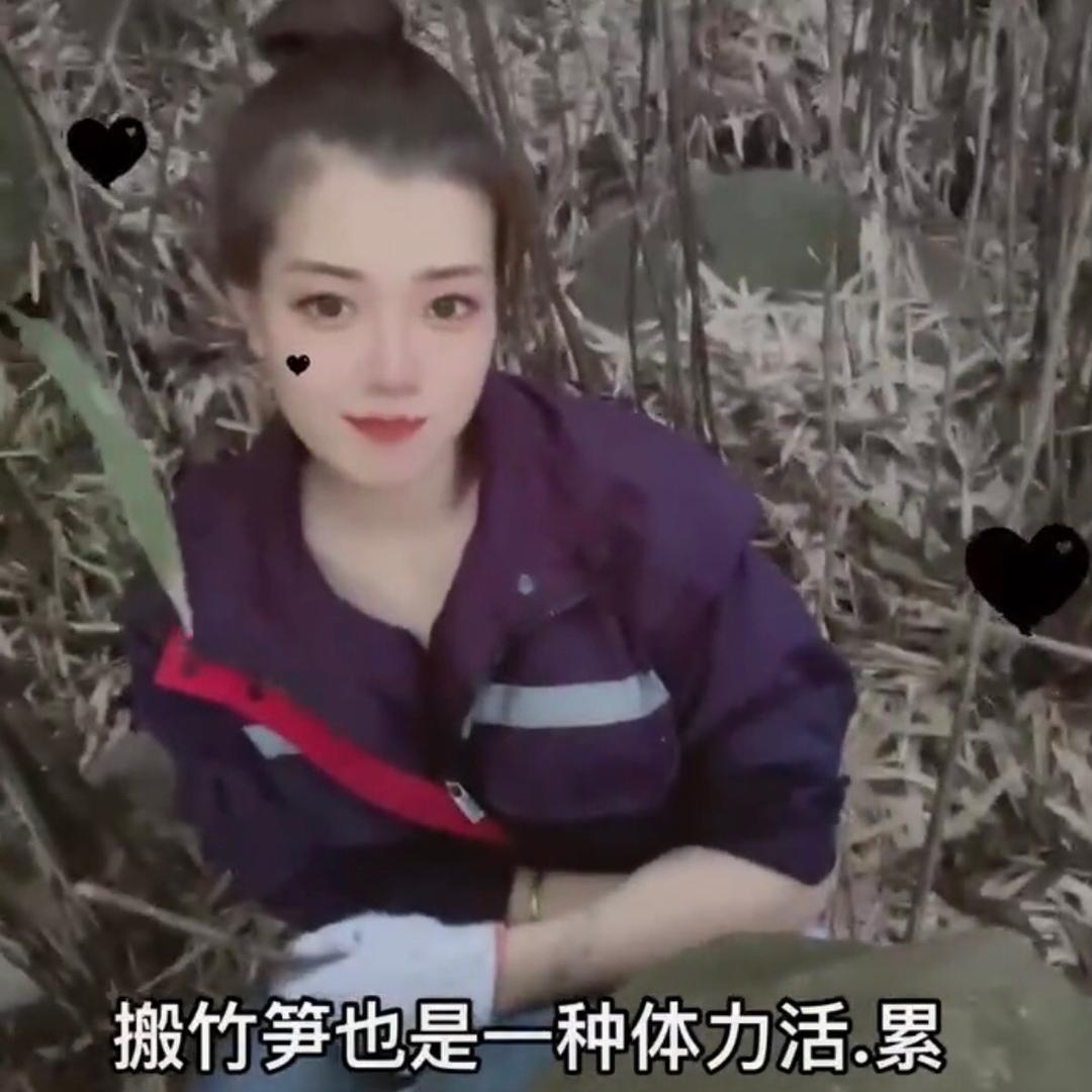 朱哥🐲